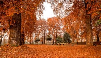 Why Kashmir’s Fall Season is a Must-See Adventure