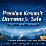 Premium Kashmir Domains for Sale