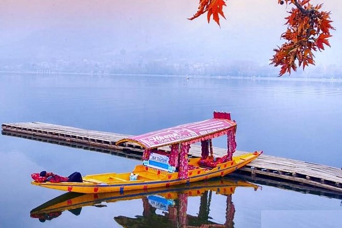 36 Hours in Srinagar: Shikara Ride, Houseboat & Kashmir Travel Guide 2026