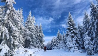 Kashmir This Winter: Your Complete Diwali, Christmas & New Year 2026 Guide