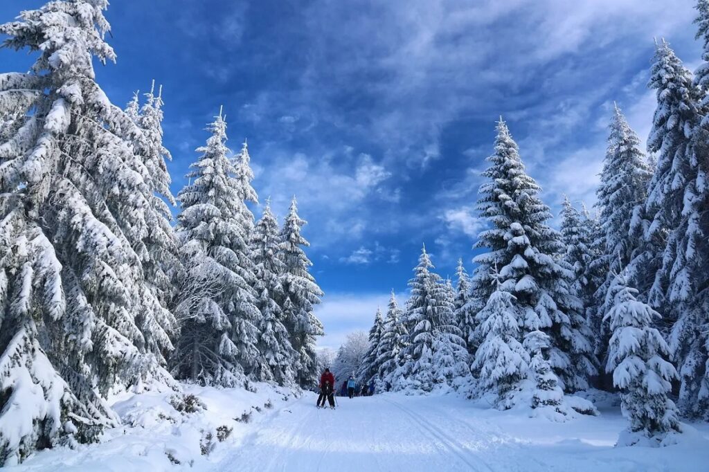 Kashmir This Winter: Your Complete Diwali, Christmas & New Year 2026 Guide