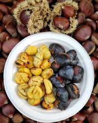 Discover the fascinating world of chestnuts — from nutrition and cooking to autumn traditions, Kashmir's harvest and the story behind this seasonal food.