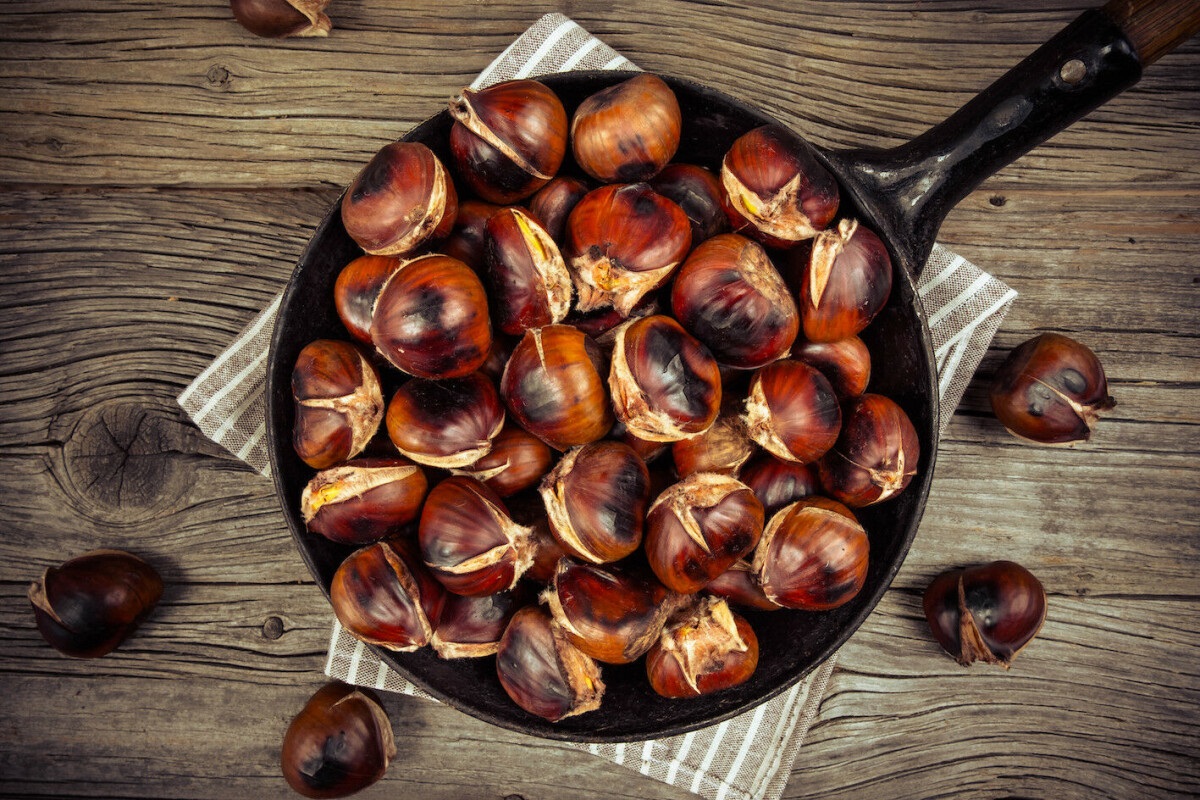 Chestnuts Are Back: The Fascinating Story Behind Autumn's Most Underrated Nut